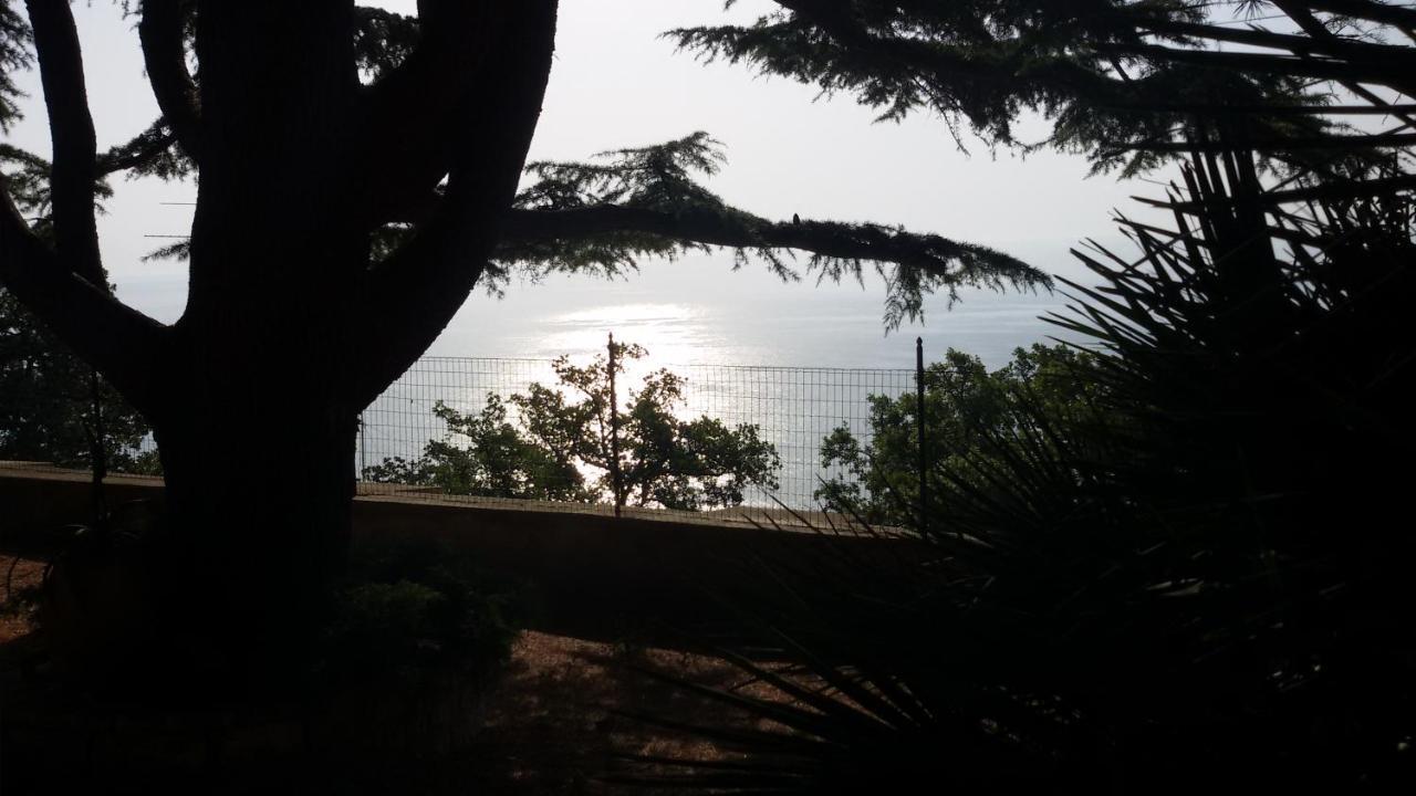 Loft Sul Mare Sirolo Apartment Bagian luar foto