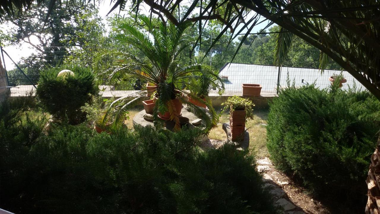 Loft Sul Mare Sirolo Apartment Bagian luar foto